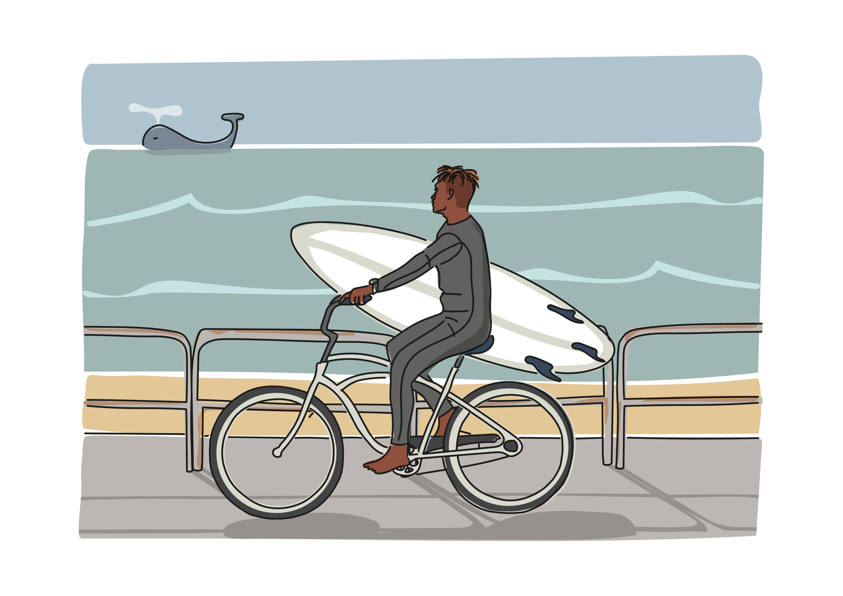 Lámina BICI SURF