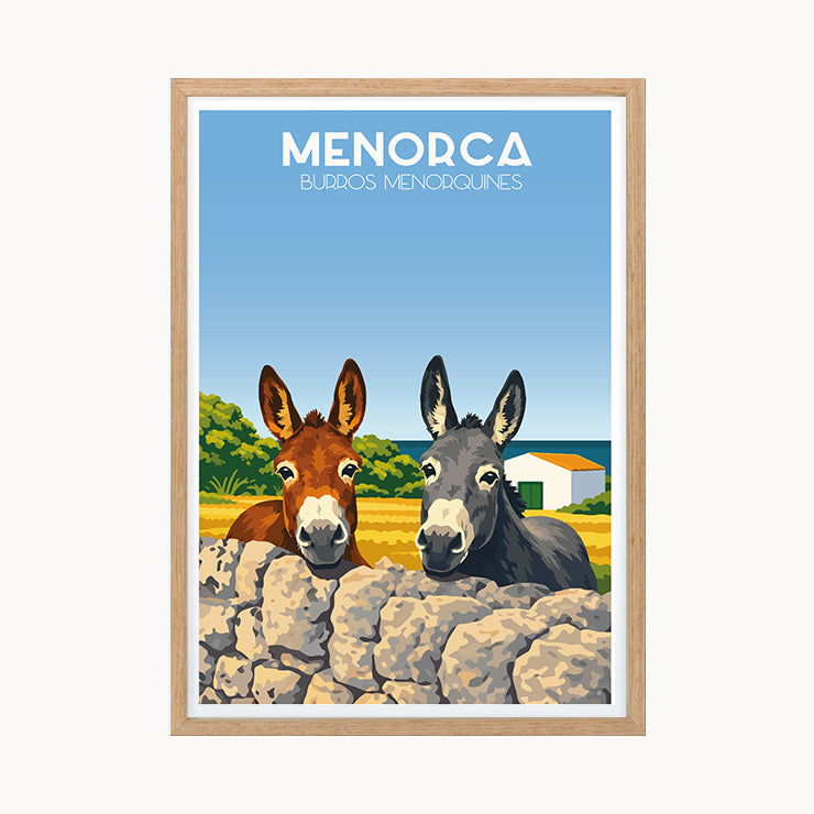 Póster burros en Menorca