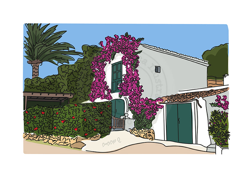 Binisafua Shed Sheet