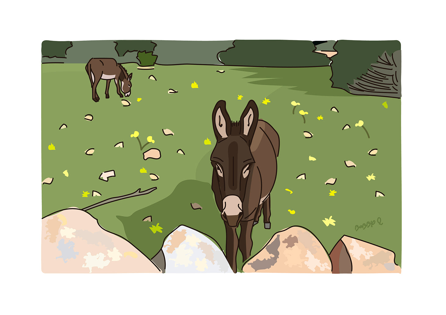 Lámina Burritos camino a Turqueta