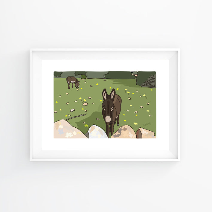 Lámina Burritos camino a Turqueta