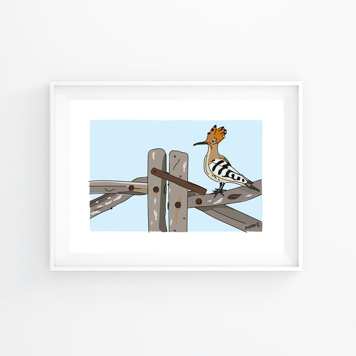 Lámina Paput sobre valla menorquina